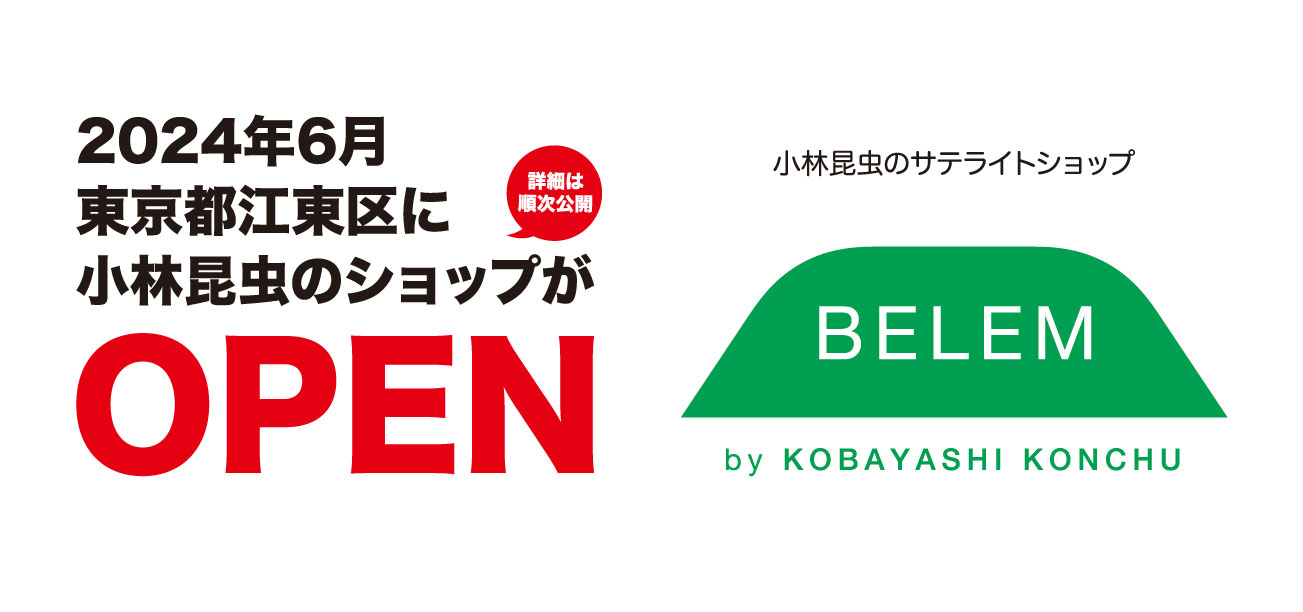 BELEM by KOBAYSHI KONCHU 小林昆虫 サテライトショップ